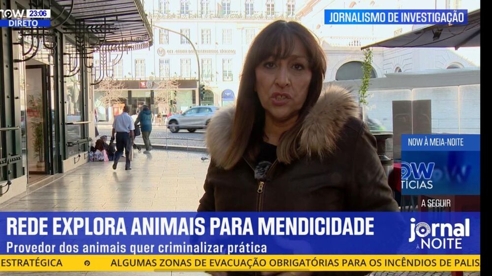 “Repórter Sábado”