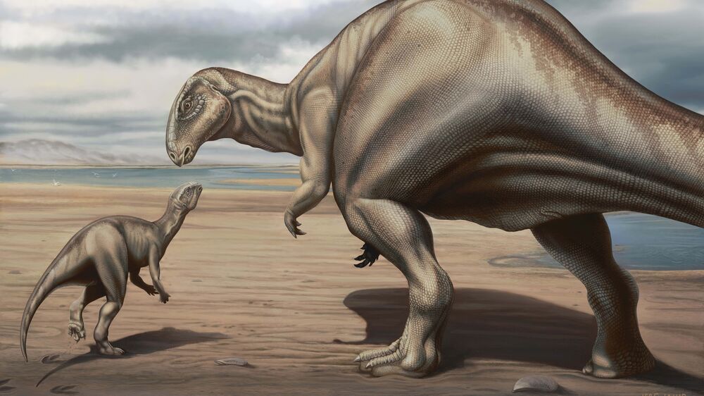 dinossauro portugal