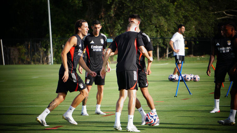 Jogadores do Benfica treinam no relvado