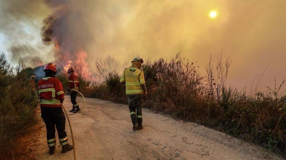 Bombeiros combatem incêndio florestal