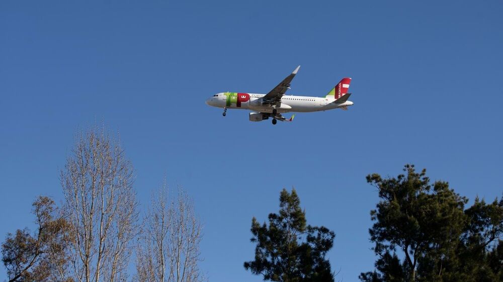Avião da TAP sobrevoa árvores sob um céu azul
