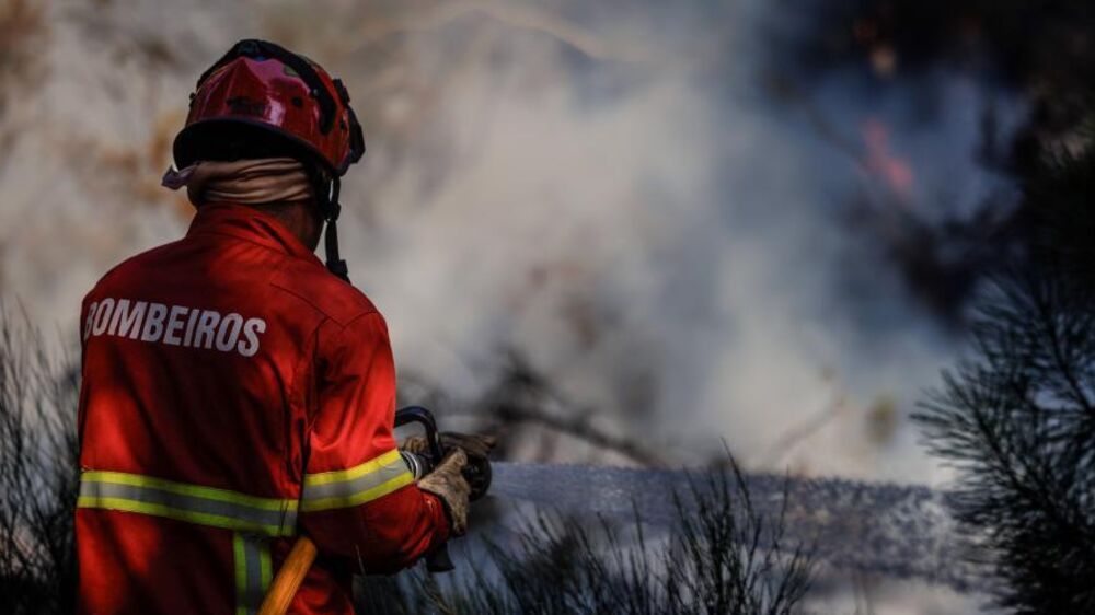 Bombeiros combatem incêndio florestal em Sabrosa.
