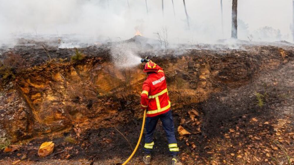Bombeiro combate incêndio florestal na EN18, entre Ródão e Nisa