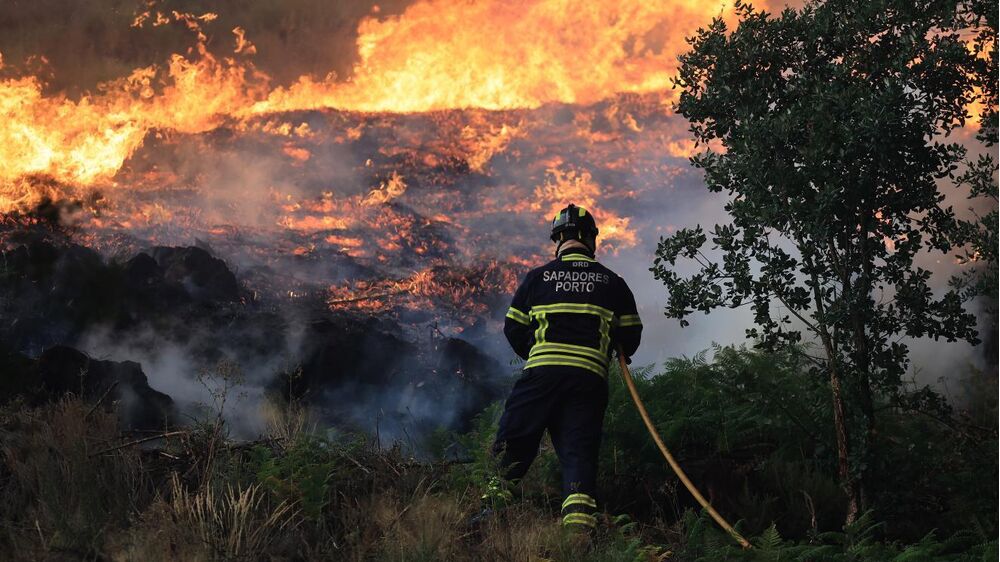 Bombeiro combate incêndio florestal. Detidos por fogo posto