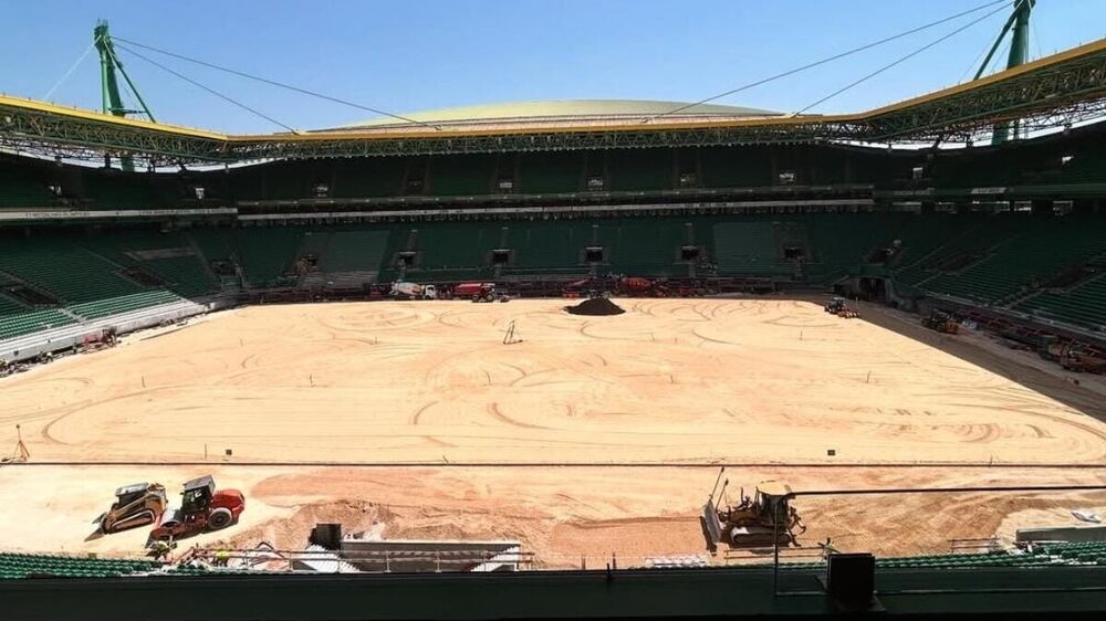 Estádio José Alvalade em renovação com relvado novo