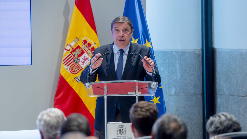 Ministro fala sobre os incêndios que afetam terrenos agrícolas em Espanha