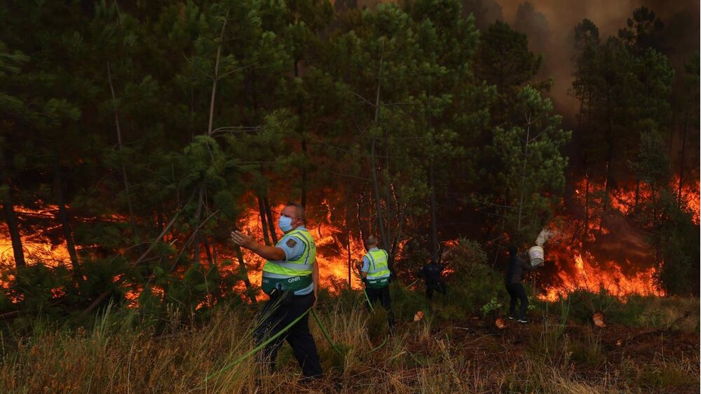 Associação Zero defende importância dos planos de ação climática na prevenção e redução de incêndios