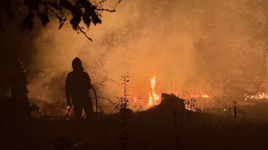 Algarve testa resposta a incêndios com exercício inspirado num fogo de 2022
