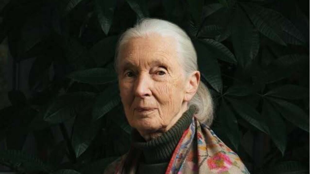 Jane Goodall