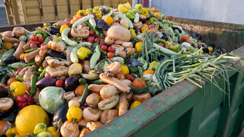 Contentor cheio de alimentos, incluindo vegetais e pão