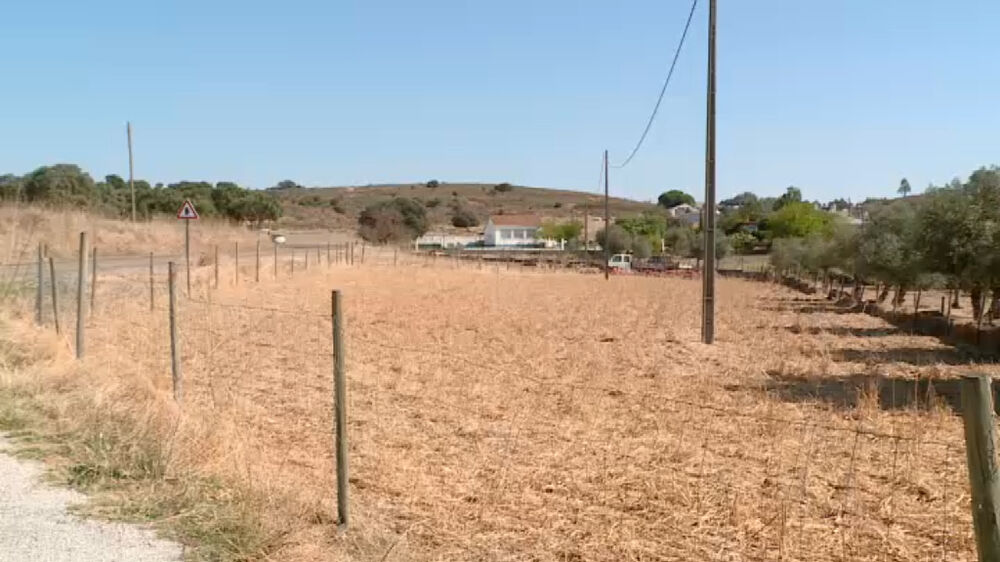 Discussão entre irmãos na freguesia de Bencatel acaba com um deles a tentar esfaquear outro 