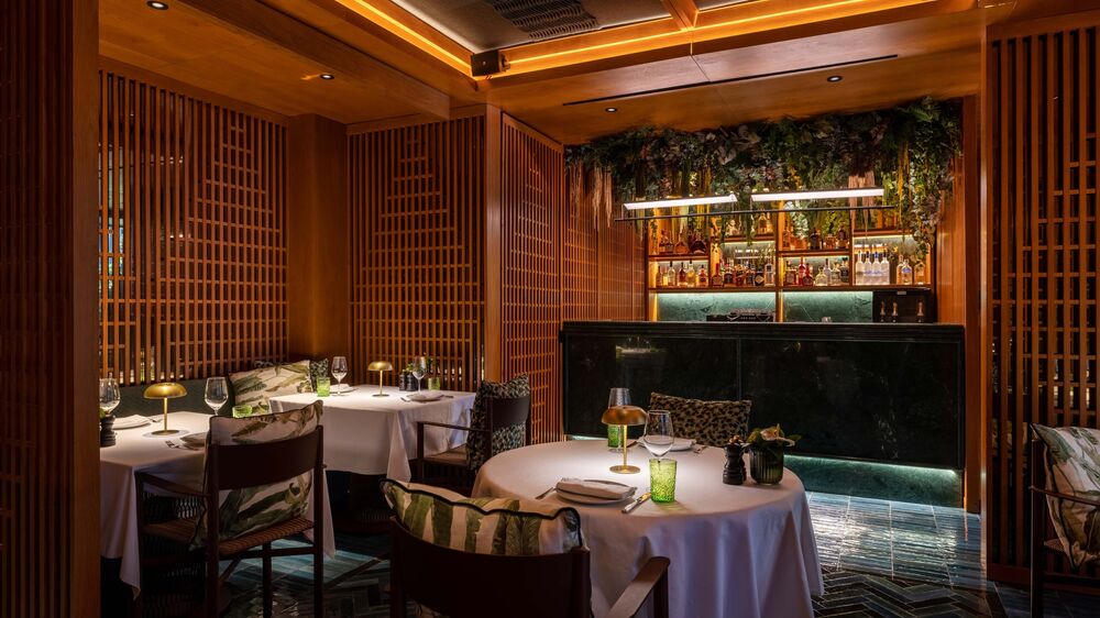 Bougain Avenida.jpeg