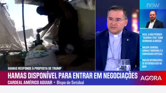 “Merecem há muito tempo poder acreditar na paz': Cardeal Américo Aguiar espera que Hamas e Israel adiram a plano de paz na Faixa de Gaza 