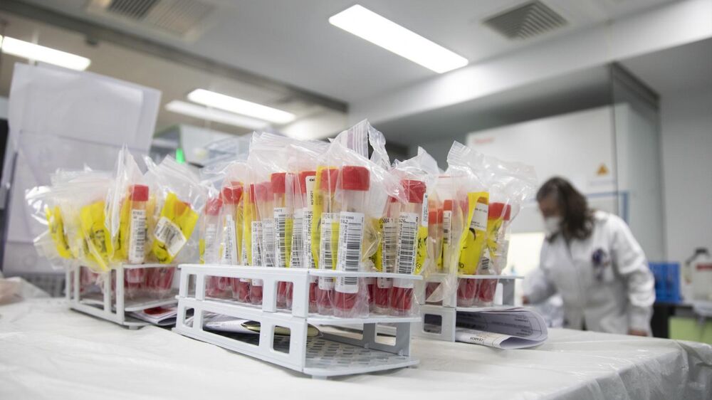 Aumento do gasto do Estado em análises clínicas para 244 milhões de euros em 2024