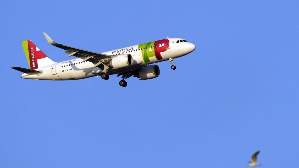 TAP à venda: Governo define 11 critérios para escolha do comprador