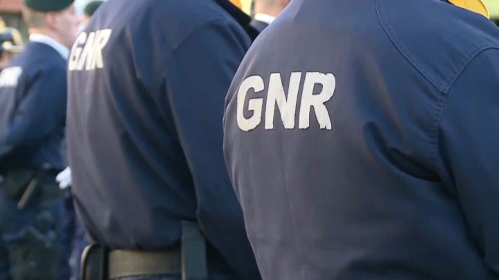 GNR fiscaliza 11 mil caçadores e detém 133 por crimes relacionados com caça 