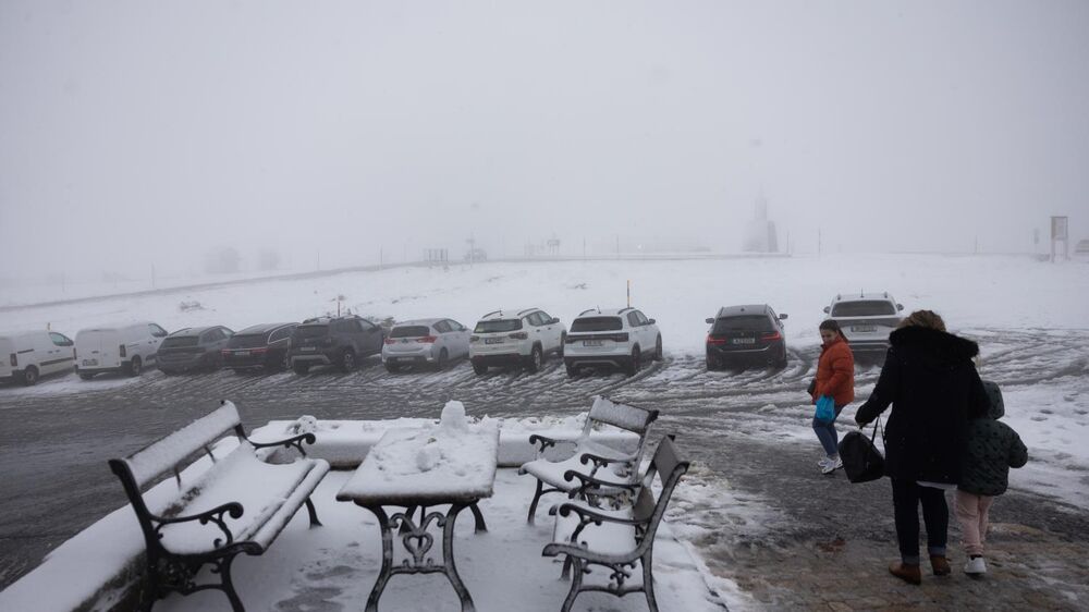 Neve