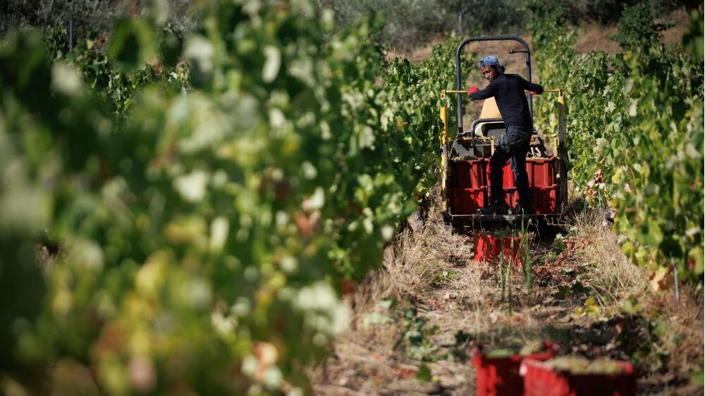 Mão de obra imigrante é nove anos mais jovem do que a portuguesa 