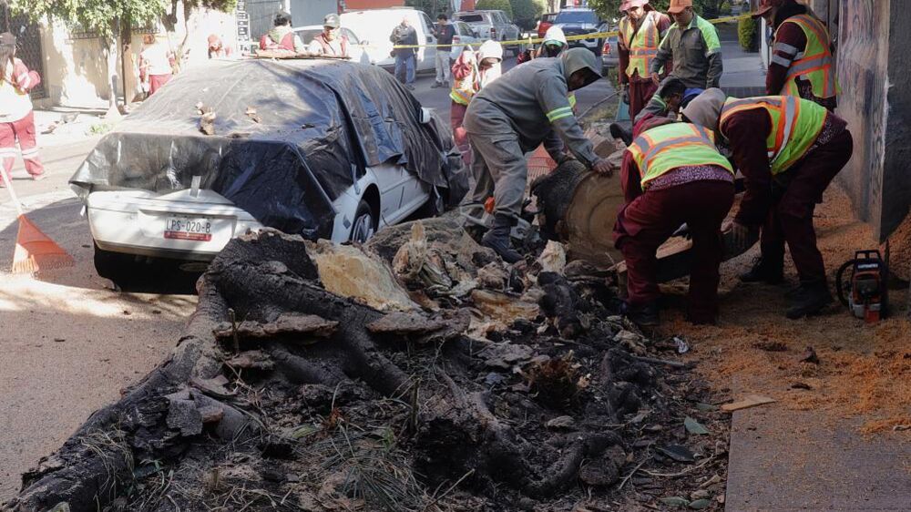 Sismo de 6,5 de magnitude atinge sul do México