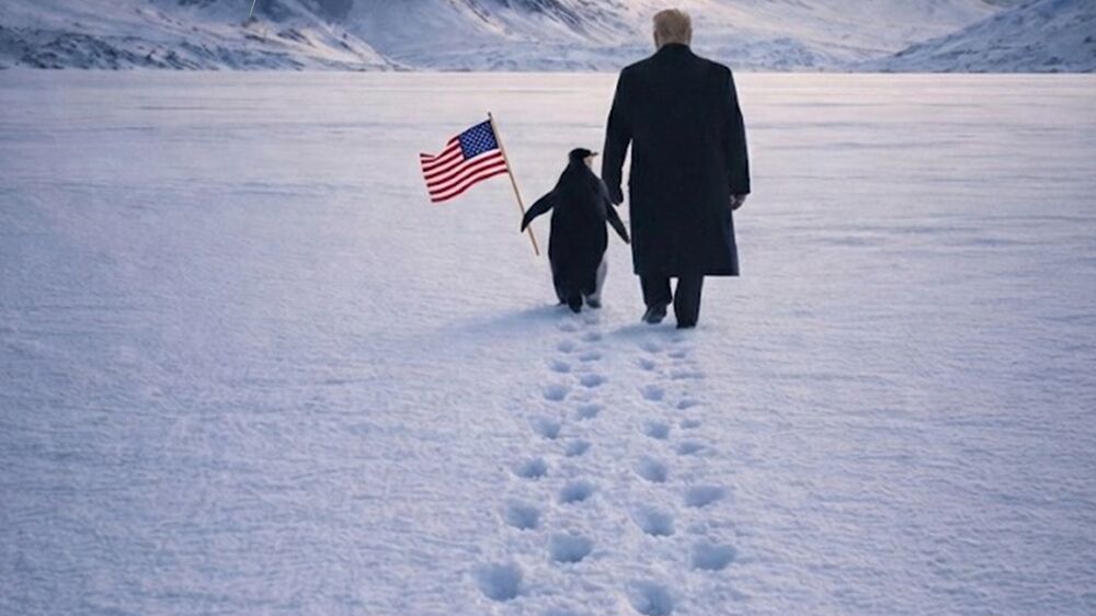 Trump e pinguim na Gronelândia, território sem pinguins, após partilha da Casa Branca