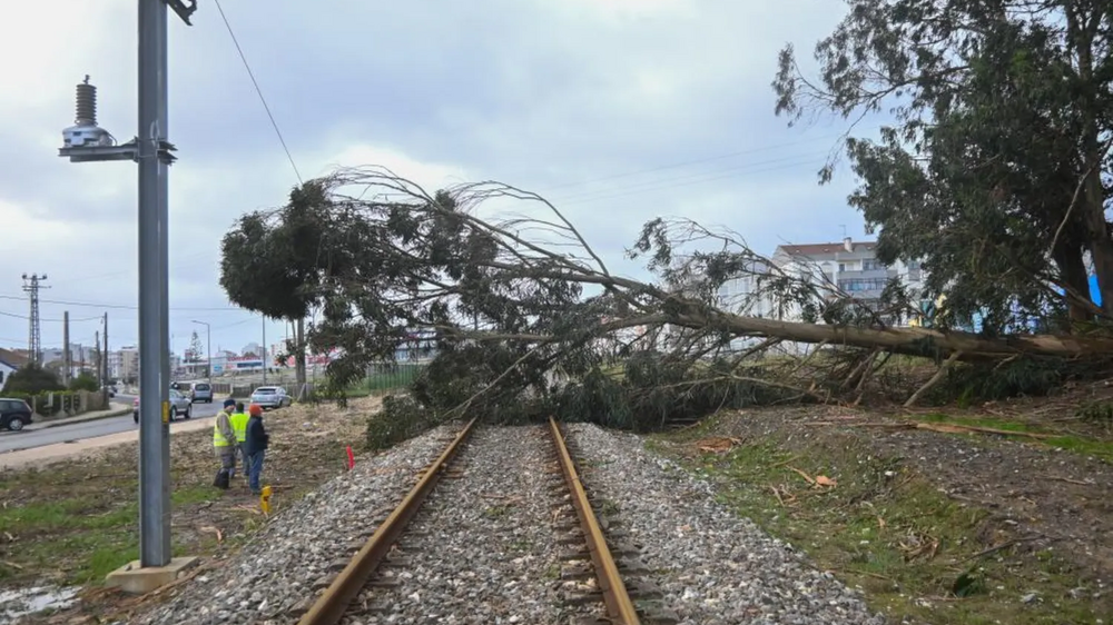 Várias linhas ferroviárias ainda com constrangimentos na circulação