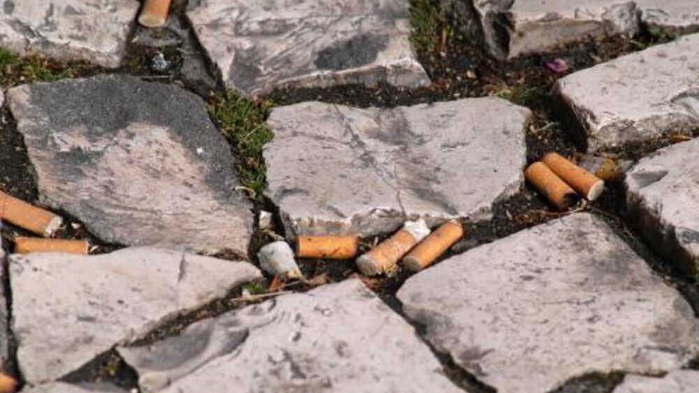 Pacto Climático Europeu pede aplicação da lei das beatas nas autarquias