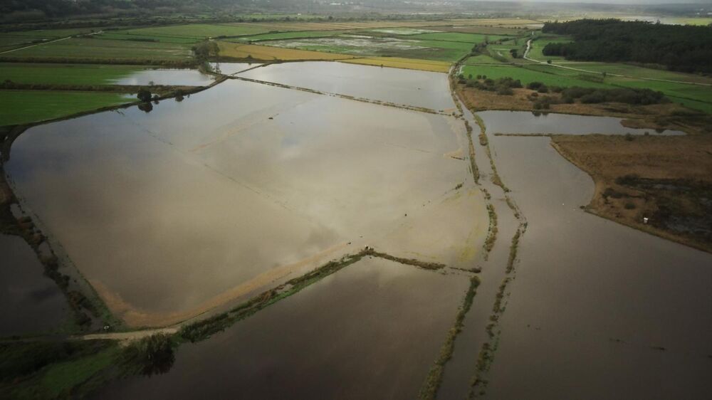 Agricultores do Norte reportam prejuízos após mau tempo, com Douro a registar 70% das declarações