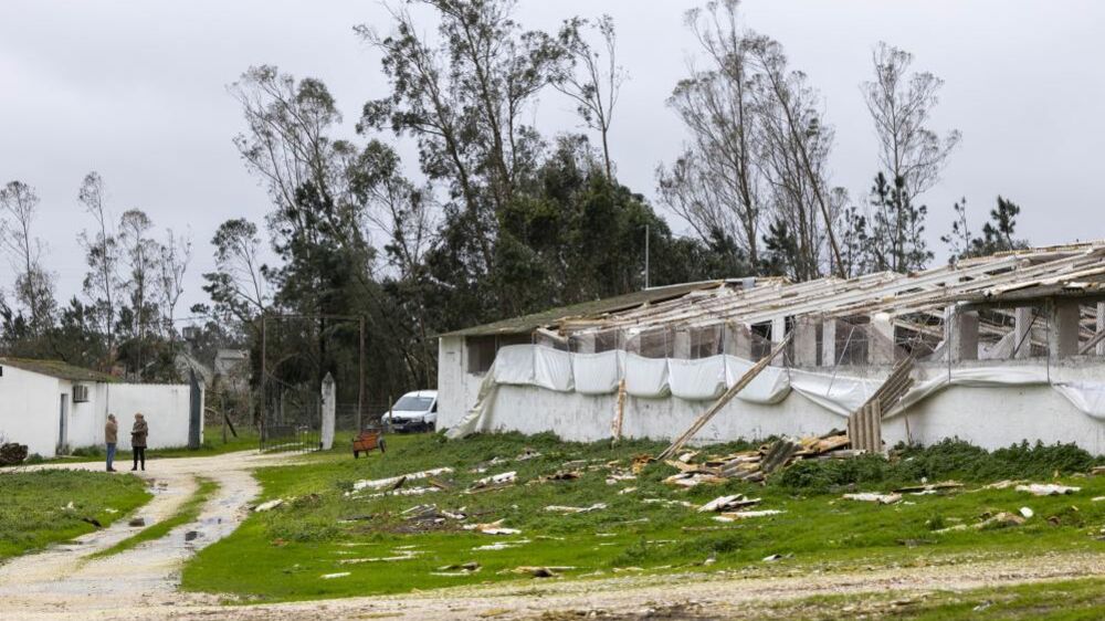 Empresas de Leiria retomam produção após tempestade Kristin, apesar dos estragos