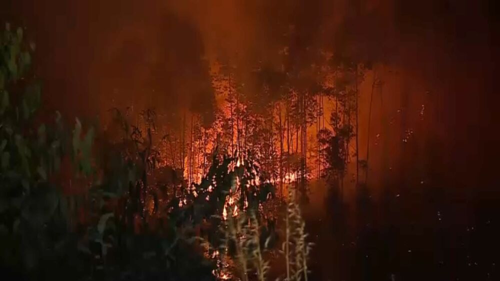 Arrancou o julgamento de um homem suspeito de atear dois fogos em Castelo de Paiva 