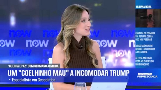 Catarina Caria: «Bad Bunny faz a festa num momento em que o medo chega à comunidade latina» 