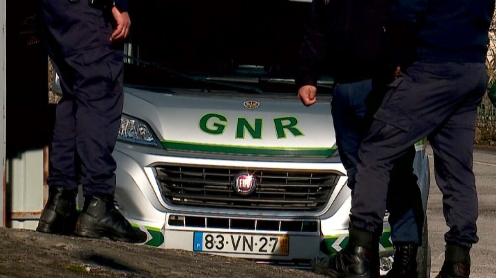 Homem investigado por violência doméstica apanhado com dezenas de armas de vários tipos