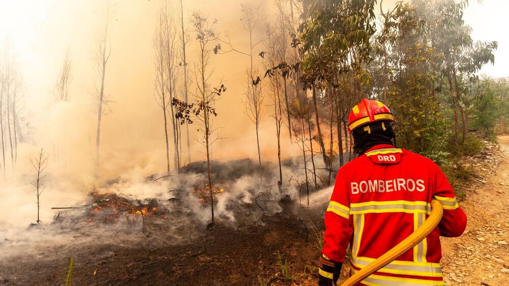 Dispositivo de combate aos incêndios deste ano orçado em cerca de 50 milhões de euros