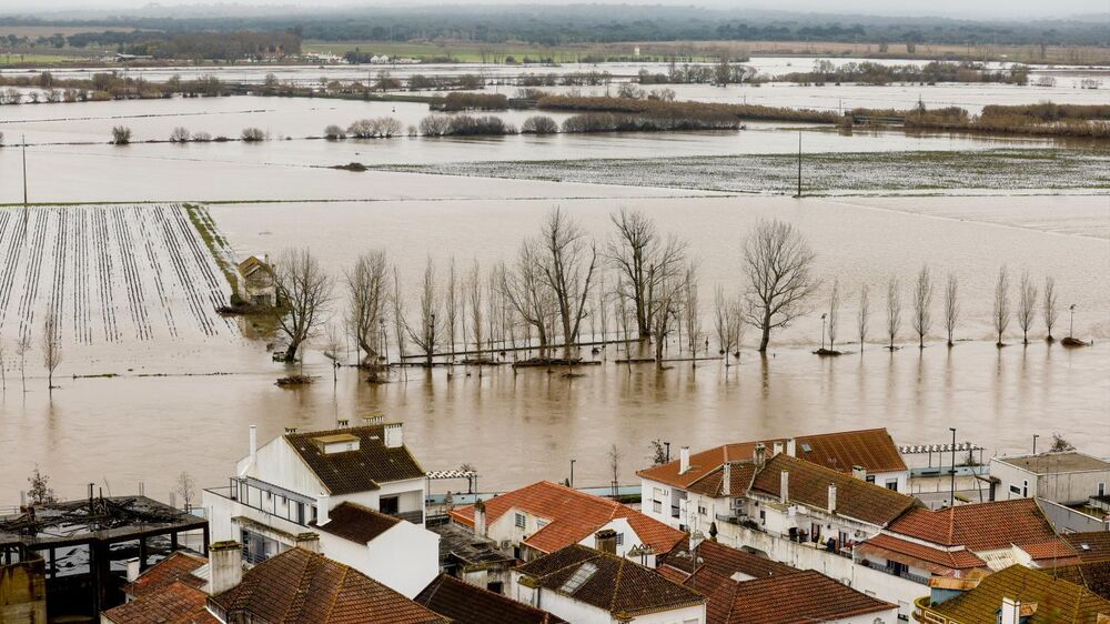 Mau tempo: Meo diz que reposição completa de rede fixa está prevista até 30 de abril