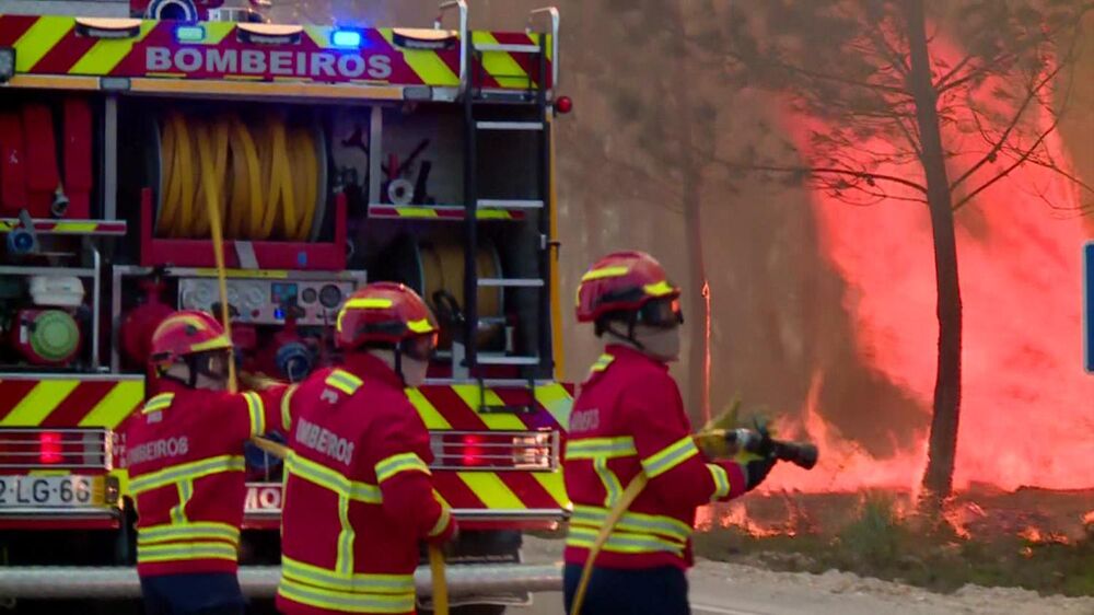 A1 cortada entre Albergaria e Aveiro nos dois sentidos devido a incêndio