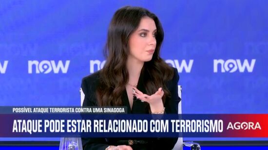 Condutor armado embate contra sinagoga nos EUA: «Risco de acontecer na Europa é real» 