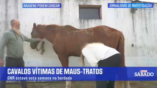 Repórter Sábado | Temporada 3 | Ep.18 | Cavalos vítimas de maus tratos na herdade do Pessegueiro 