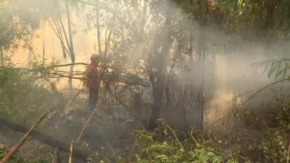 Homem detido por provocar incêndio florestal que ameaçou casas em Resende 