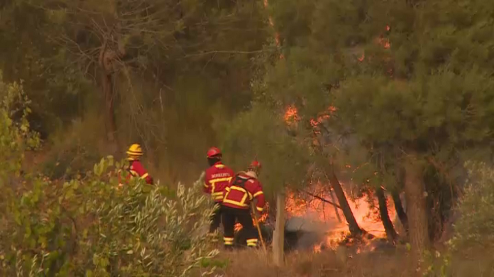 Homem de 65 anos detido por ter originado incêndio florestal no concelho de Alvaiázere