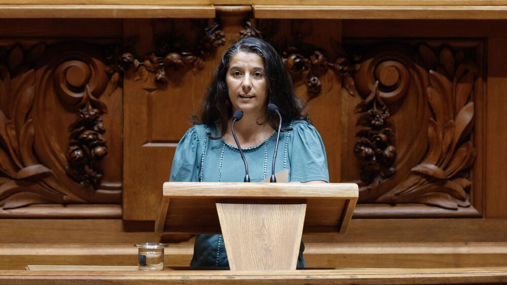 Líder parlamentar do PCP, Paula Santos