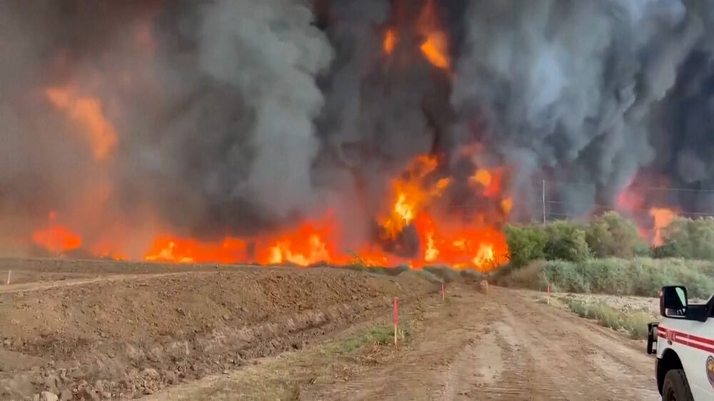 Incêndio florestal no Arizona consome quase 400 hectares 