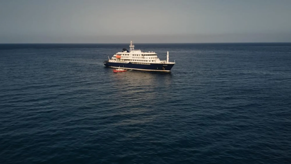 Ministro sul-afrincano revela que hantavírus detetado em navio é a estirpe transmissível entre humanos