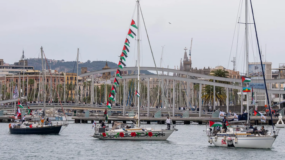 Dois ativistas da flotilha detidos em Israel vão ser libertados este sábado