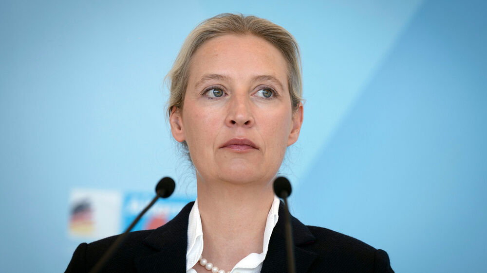Alice Weidel, AfD