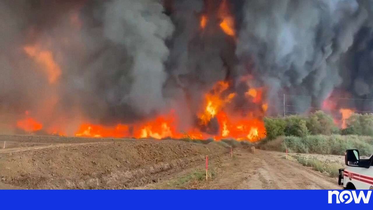 Around 140 municipalities across twelve Portuguese districts at maximum wildfire risk