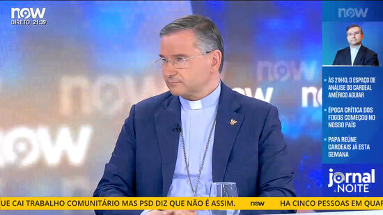 Papa reúne cardeais no Vaticano: «Está a cumprir aquilo que prometeu»