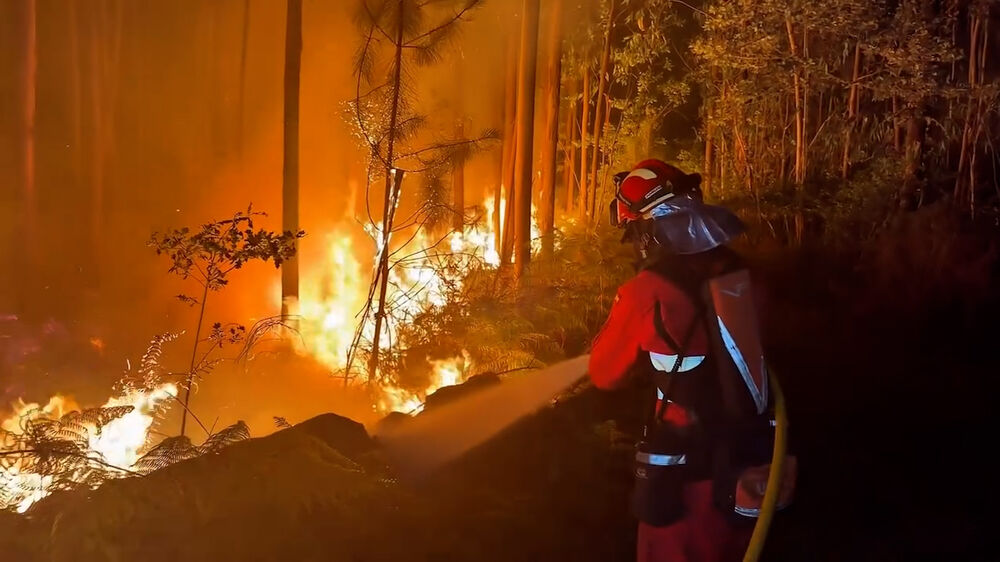 Sul da Europa enfrenta início precoce da época de fogos florestais