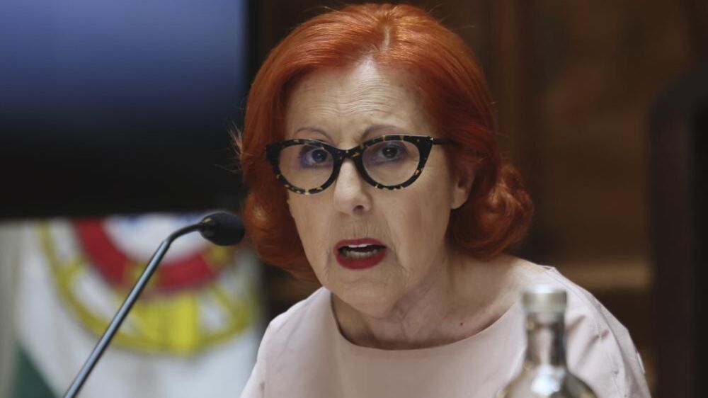 Ministra do Ambiente e Energia, Maria da Graça Carvalho
