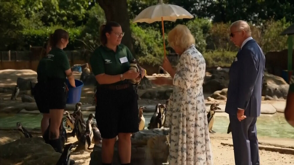 Rei Carlos III e rainha Camila visitam zoo de Londres para assinalar os 200 anos da Sociedade Zoológica