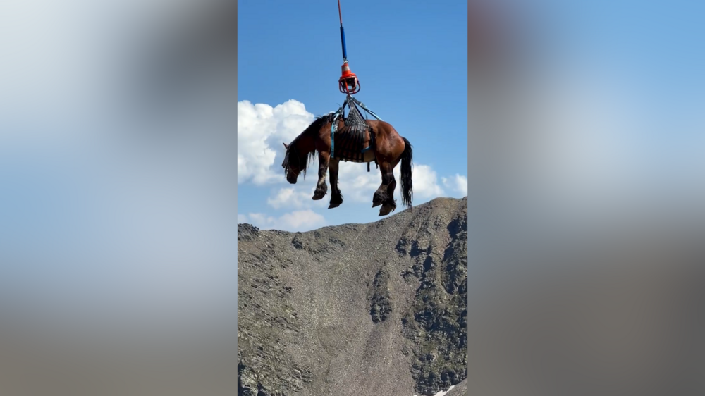 Cavalo cruza os céus de Andorra de helicóptero para receber tratamento