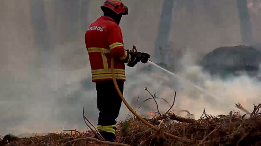 Mulher de 70 anos em prisão preventiva após atear incêndio florestal no concelho de Resende